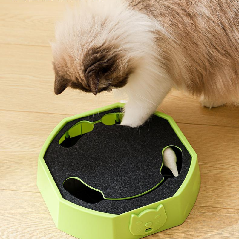 Interactive Mouse Chase Cat Toy