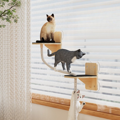 Cat Climbing Shelf With Rope Steps