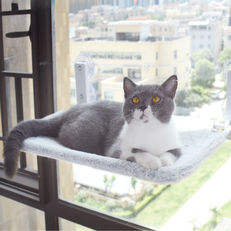 Cat Window Hammock Winter Plush And Summer Mesh