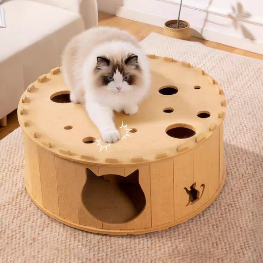 Double Layer Felt Pet Cave Tunnel Bed