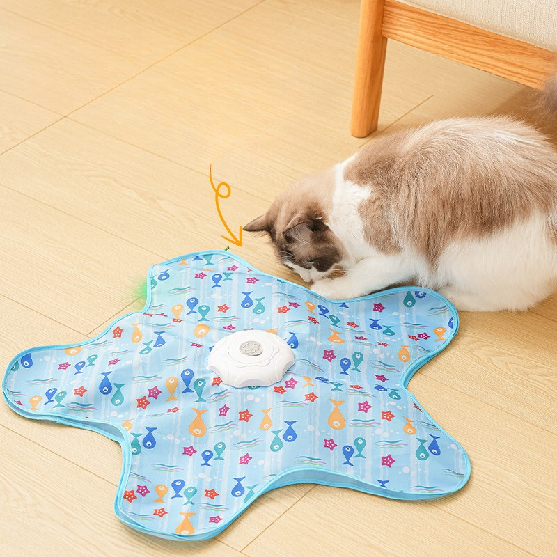 Interactive Cat Toy Indoor Play Exercise