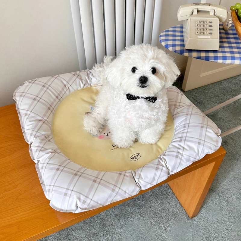 Summer Cooling Pet Mat