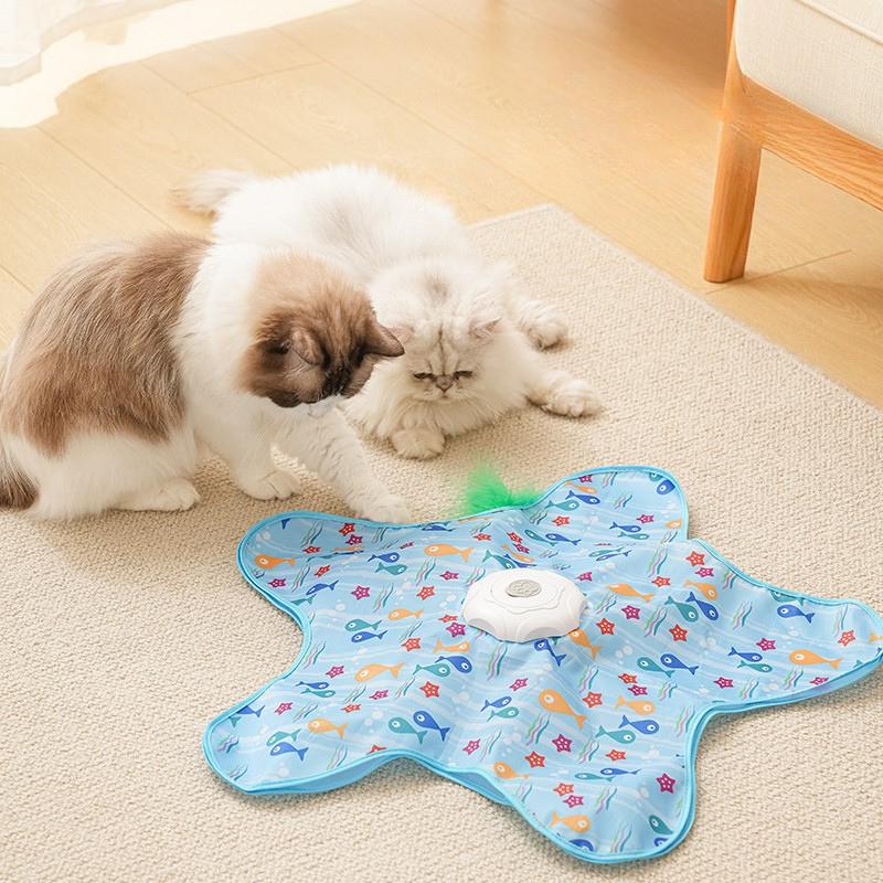 Interactive Cat Toy Indoor Play Exercise