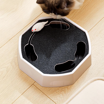Interactive Mouse Chase Cat Toy