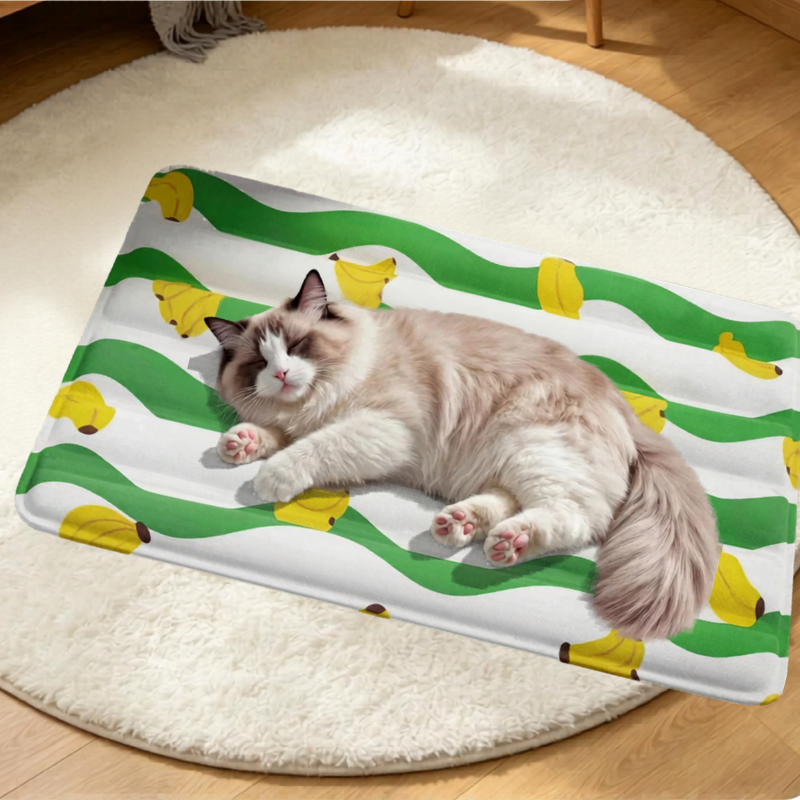 Refreshing Pet Rest Mat