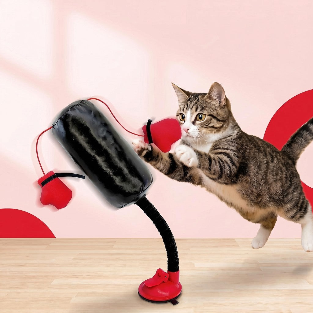 Cat boxing toy in use