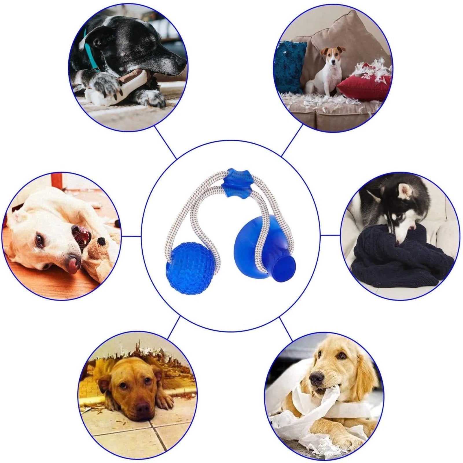 Dog toys wholesale supplier