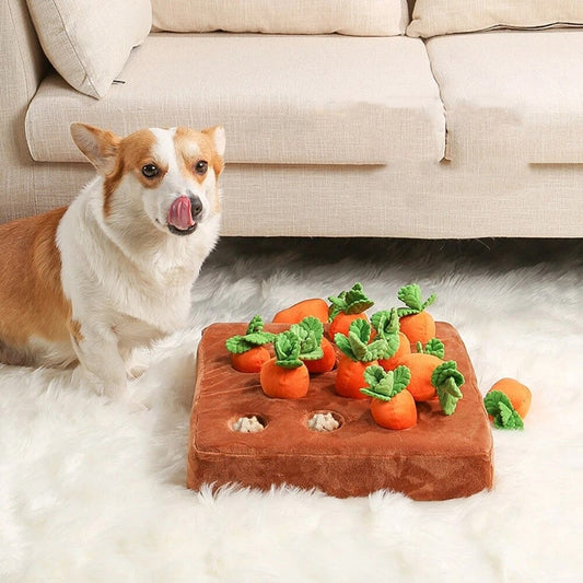 Dog Carrot Snuffle Activity Mat Toy