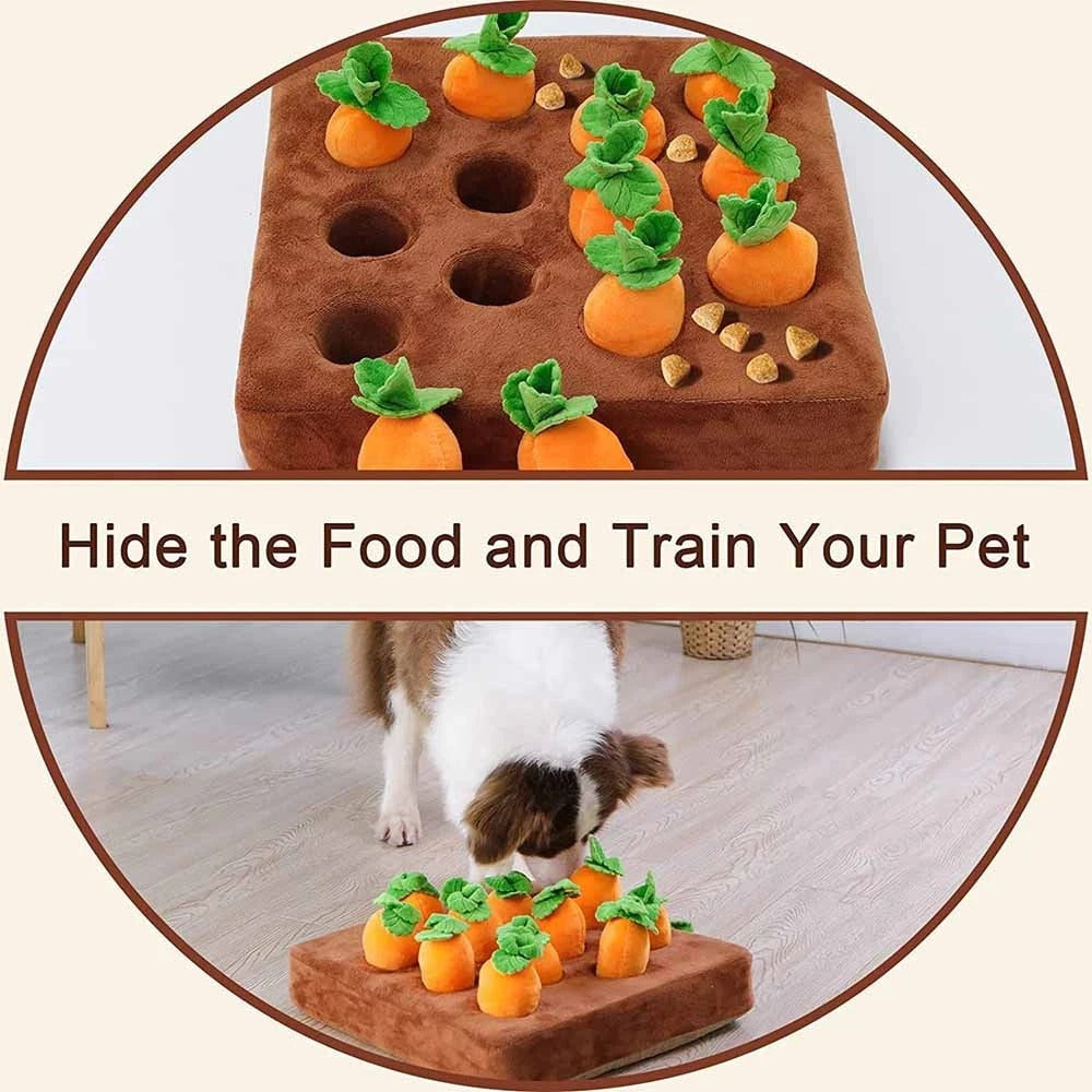 Dog Carrot Snuffle Activity Mat Toy