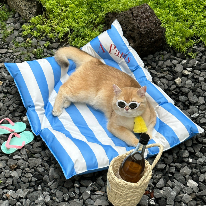 Cooling Sleep Pet Mat