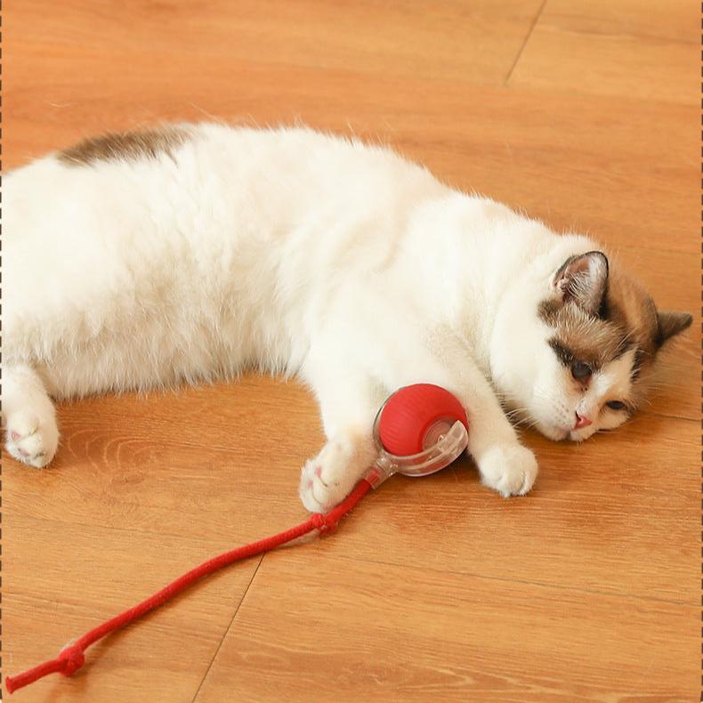 Intelligent Electric Cat Toy Automatic Rolling Ball