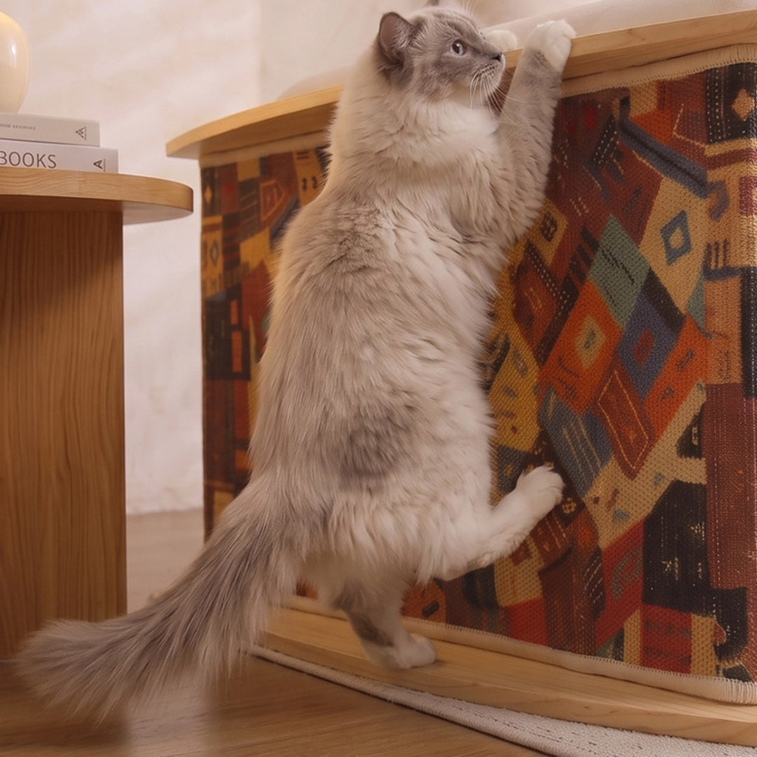 Fluffy cat stretching up to scratch the sisal side of the end table