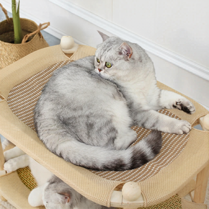 Double Layer Wooden Cat Bed