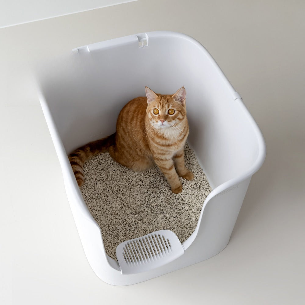 Large cat sitting comfortably inside the roomy 90L litter box