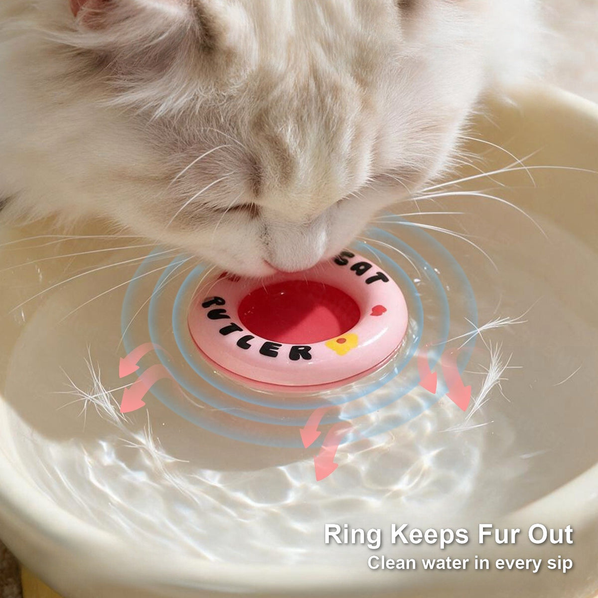 Cat drinking from a pink floating water ring