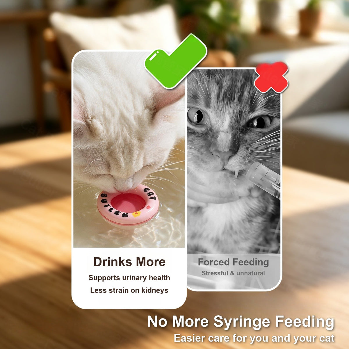 Floating ring helps cats drink more on their own