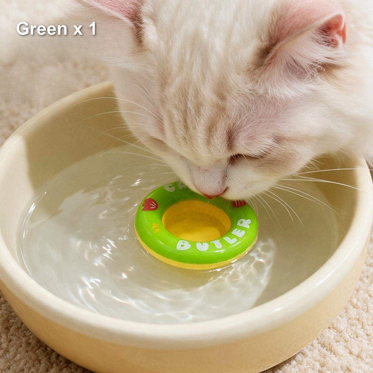 Green floating cat water ring in use