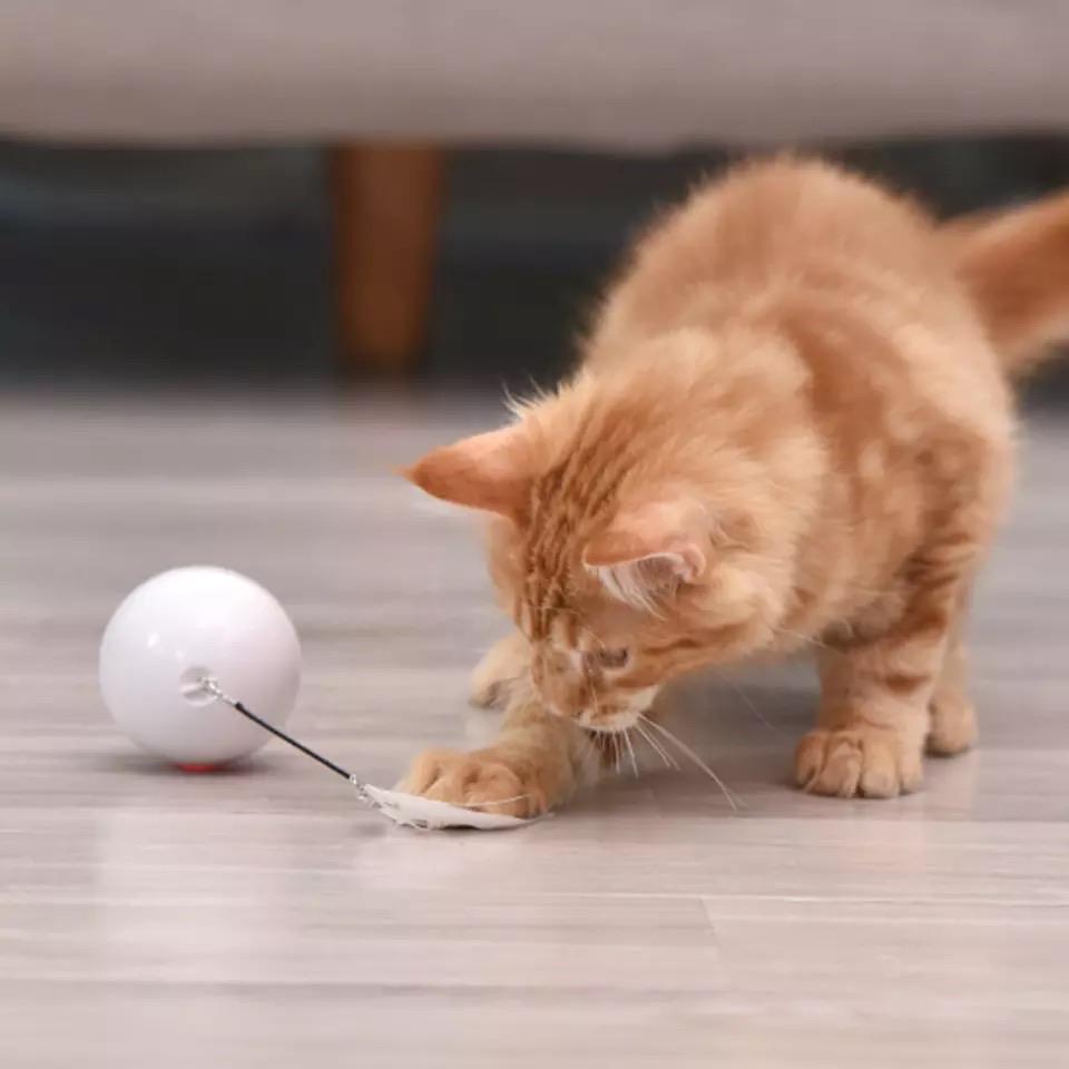 Rolling Cat Ball Toy With Magnetic Feathers