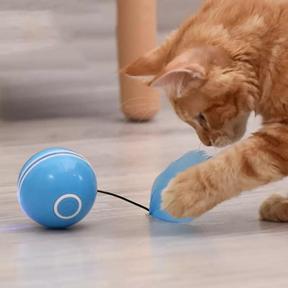 Rolling Cat Ball Toy With Magnetic Feathers