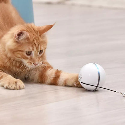 Rolling Cat Ball Toy With Magnetic Feathers