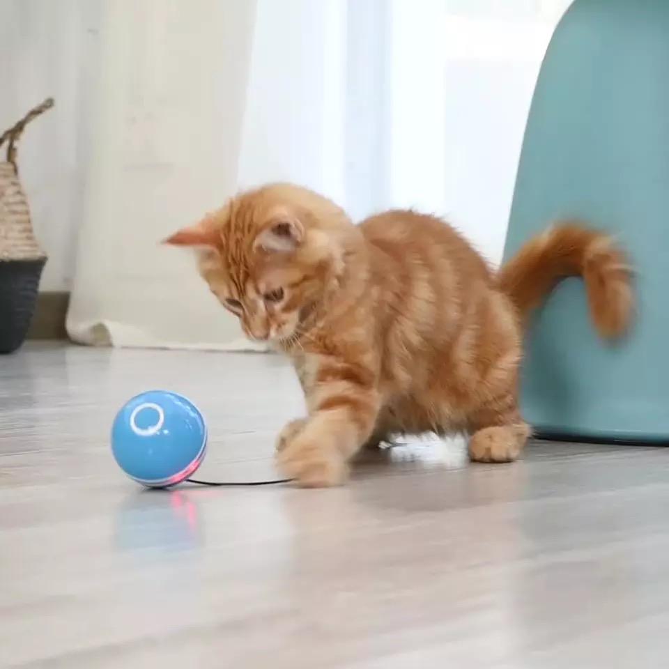 Rolling Cat Ball Toy With Magnetic Feathers