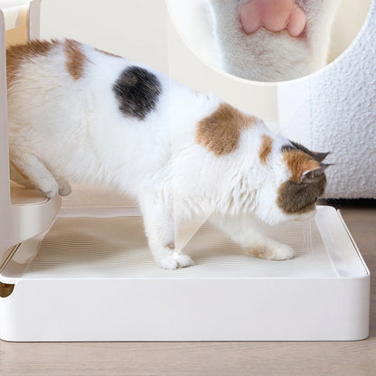 Cat exploring the infinity pool litter platform