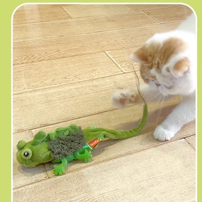 Kitten chasing the self-play electric lizard toy
