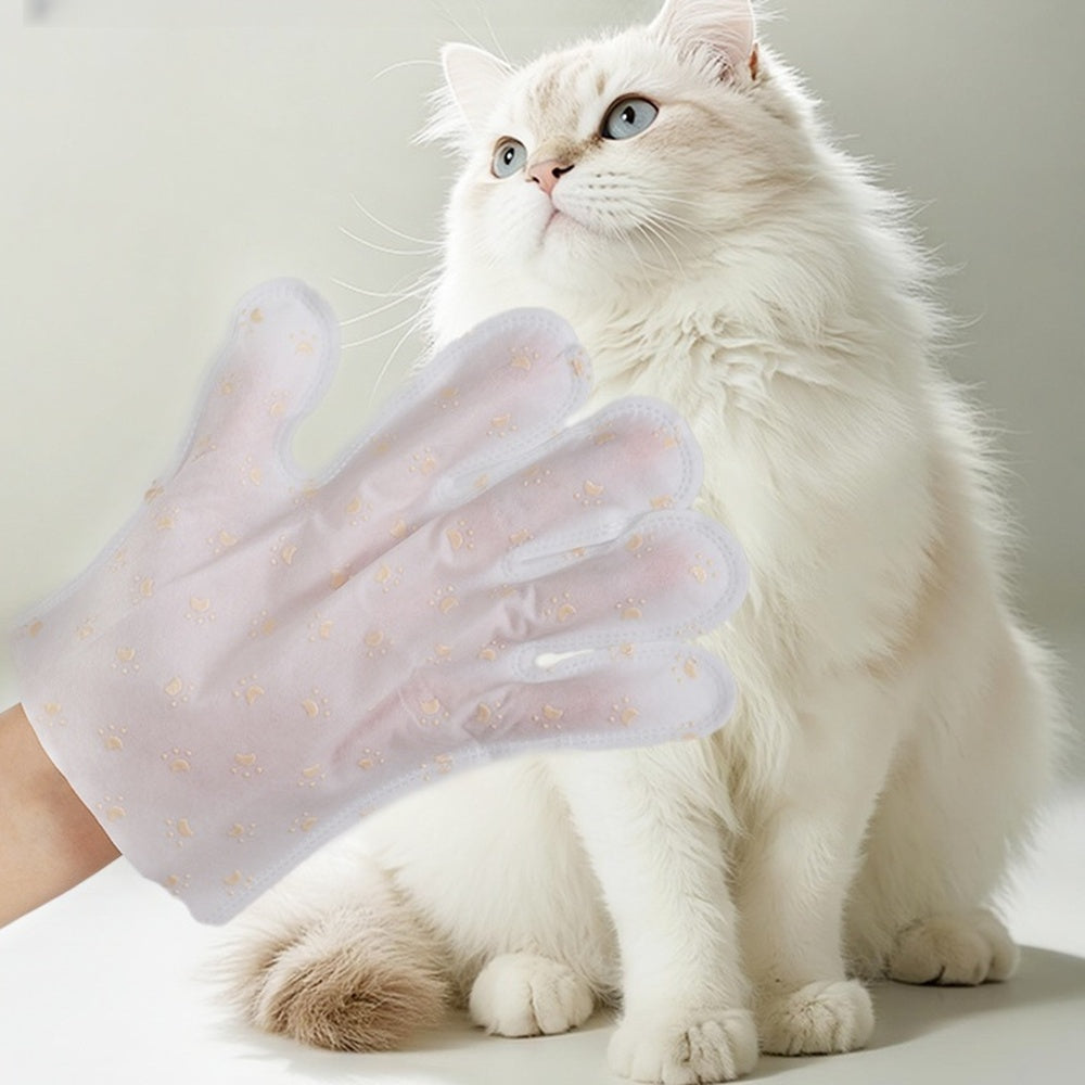 Pet bath glove wiping a fluffy white cat