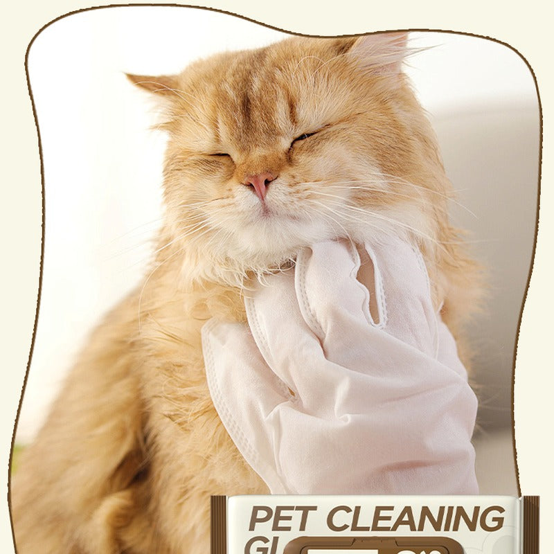 Cat being cleaned with a soft disposable grooming glove