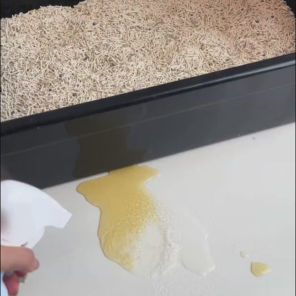 Pet Urine & Odor Removers Spray Cleaner