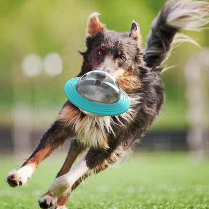 Dog Treat Dispensing Toy