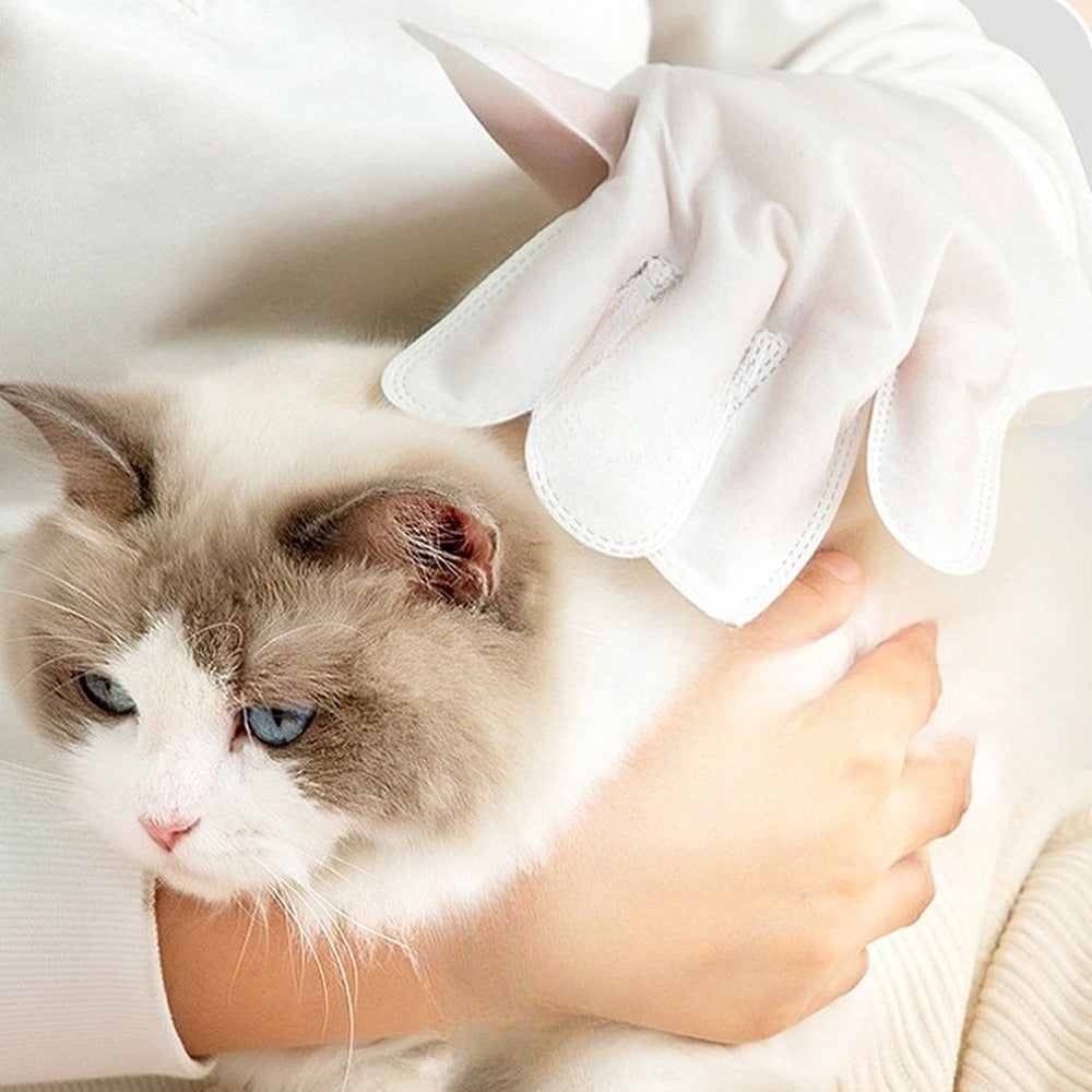 Wiping a cat clean with a pet cleaning glove