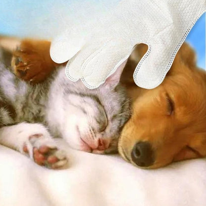 Wiping a sleeping kitten and puppy with a pet cleaning glove