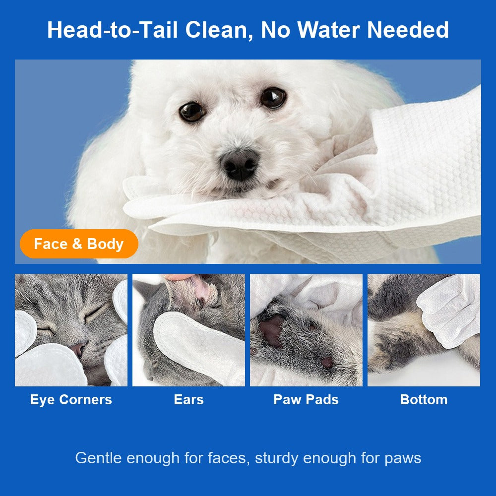 Cleaning face, eye corners, ears, paw pads and bottom with a pet glove