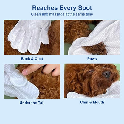 Cleaning a dog's back, paws, tail area and chin with a bath glove